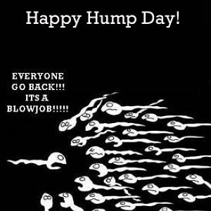 Happy Hump Day!!!
