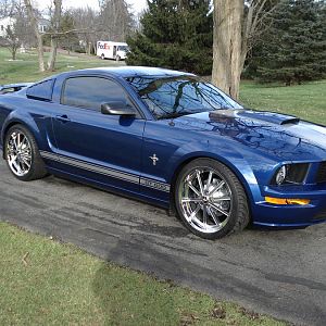 2008 GT with new Shelby Wheels
