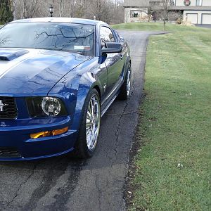 2008 GT with new Shelby Wheels