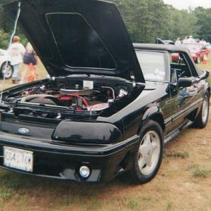 Old pic from a flowerfields car show