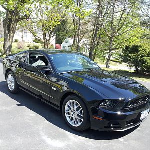 2013 Mustang