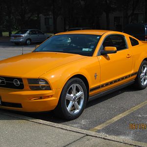 2008 Grabber Orange V6 Pony Package
License: ORNGRUSH
