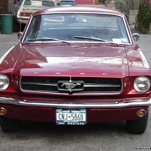 Picture mustang 050