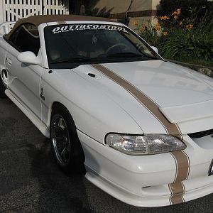 Mustang front