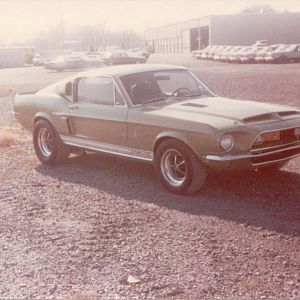 My Shelby at Helfrich Ford when I worked there.