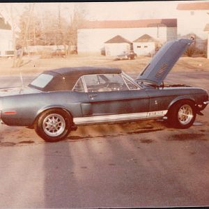 My 68 GT500.First color I painted the car.Original color was gold.