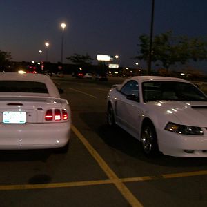 thought it was cool. 2 triple white stangs