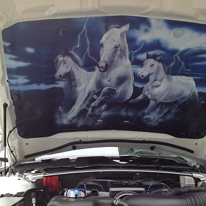 New Hood liner from a very talented artist from Toronto Canada.