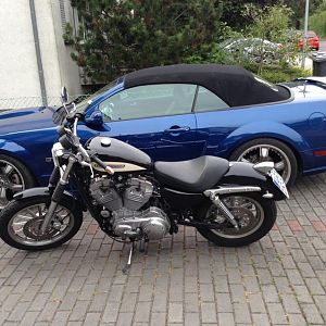 Mustang meets Harley