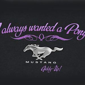 I Always Wanted A Pony Womens Tee