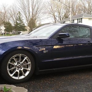 Lowered the Mustang: Eibach springs and struts