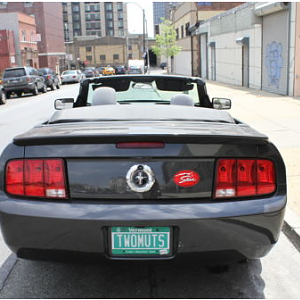 Mustang Back