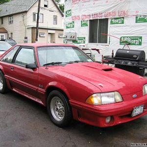 mustang