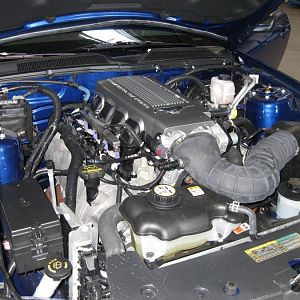 The engine of my mustang
