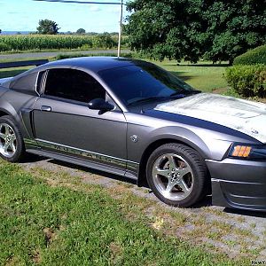 stang front