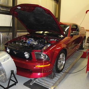 10.10.2009 Kyle's Mustang on the dyno