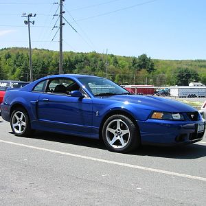 2003 cobra back in the day at LVD.  Sold!  She is missed.