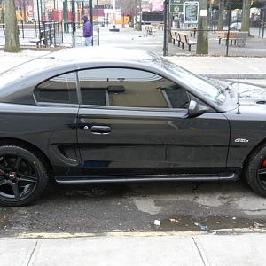 Mustang 033