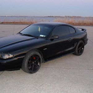 Mustang 044